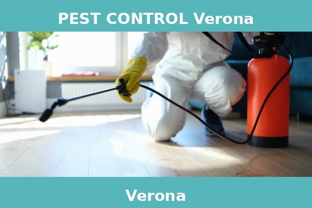 PEST CONTROL Verona